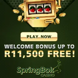 springbok casino