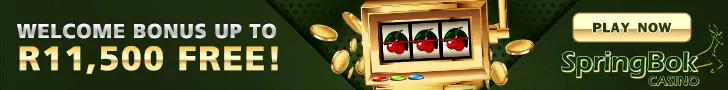 springbok casino